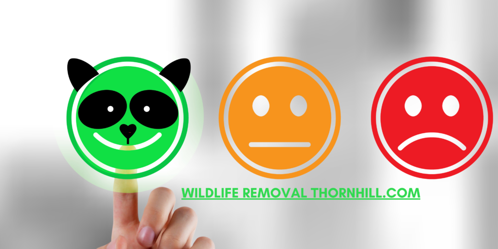 WILDLIFE REMOVAL THORNHILL