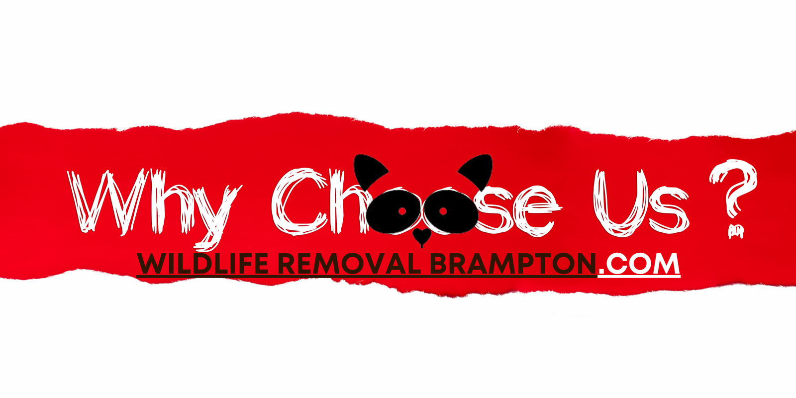 Wildlife Removal Brampton